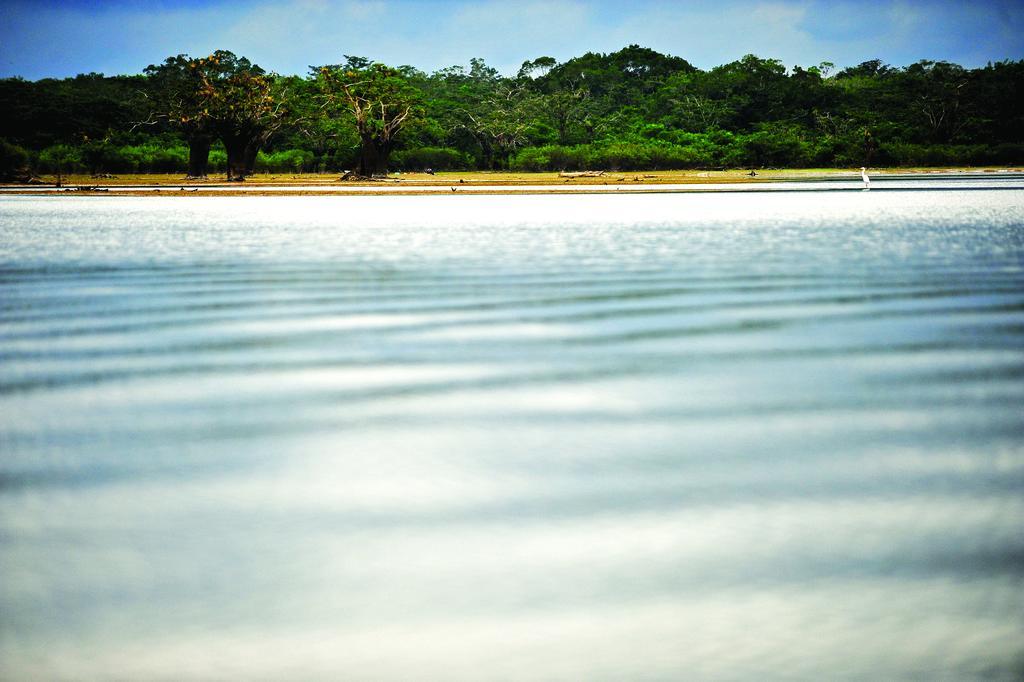 Jamu Lodge Puerto Montufar Buitenkant foto